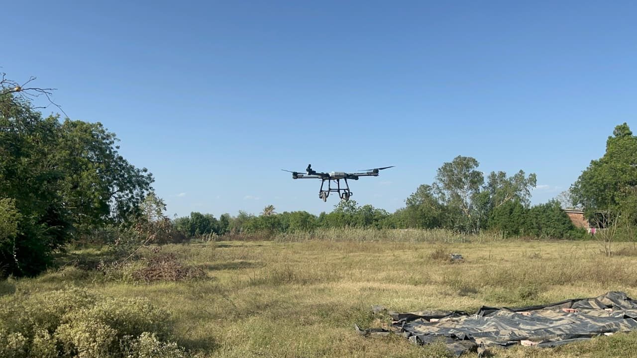 Field trial · approach